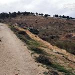 ارض زراعية في بيرين قريبه من شفا بدران مساحتها 68 دنم