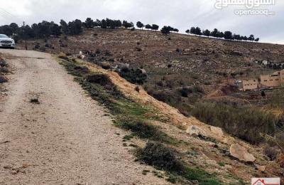 ارض زراعية في بيرين قريبه من شفا بدران مساحتها 68 دنم